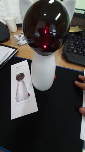 lemonlala Cat Laser Toy Automatic Interactive for Indoor Cats/Dogs/Kitty photo review