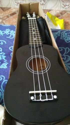 Ukulele for Beginners - Your Perfect Musical Companion photo review
