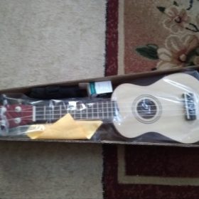 Ukulele for Beginners - Your Perfect Musical Companion photo review