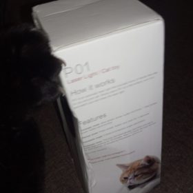 nicebands Cat Laser Toy Automatic Interactive for Indoor Cats/Dogs/Kitty photo review