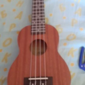Explore the Melodic World with Our 23 Inch Ukulele  for Sale photo review