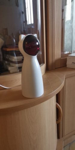 lemonlala Cat Laser Toy Automatic Interactive for Indoor Cats/Dogs/Kitty photo review